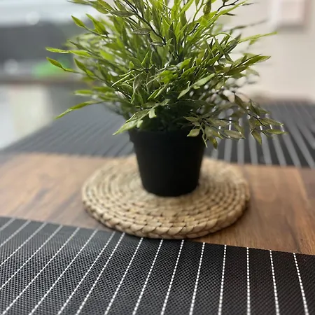 Apartment Soso *