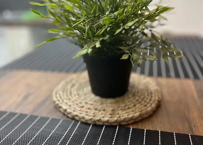 Apartament Soso *